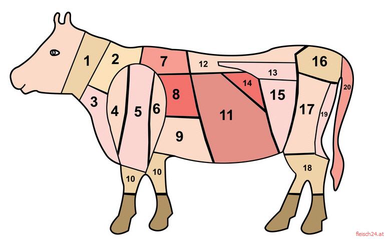 Rindfleisch in Teile - Rindfleischteile