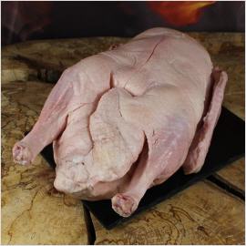 Bio Gans aus der Wachau aus sterreich