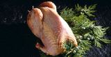 Wildfleisch - gerupfter Fasan