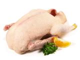 Geflgel - frische Gans